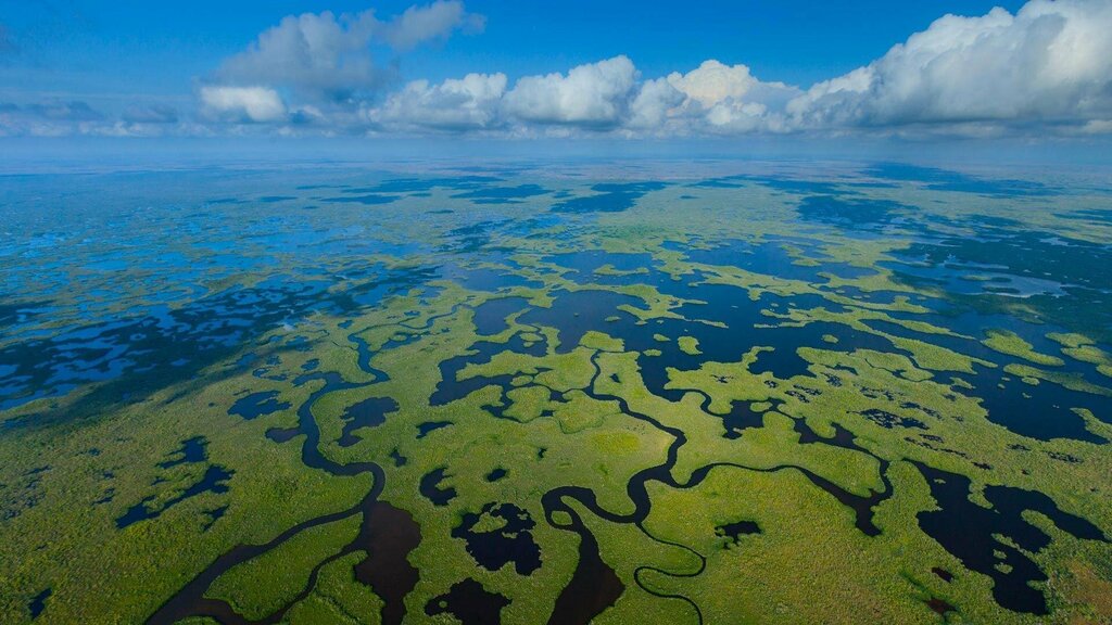 Everglades National Park Has 10,000 Islands, Perfect for Vacation