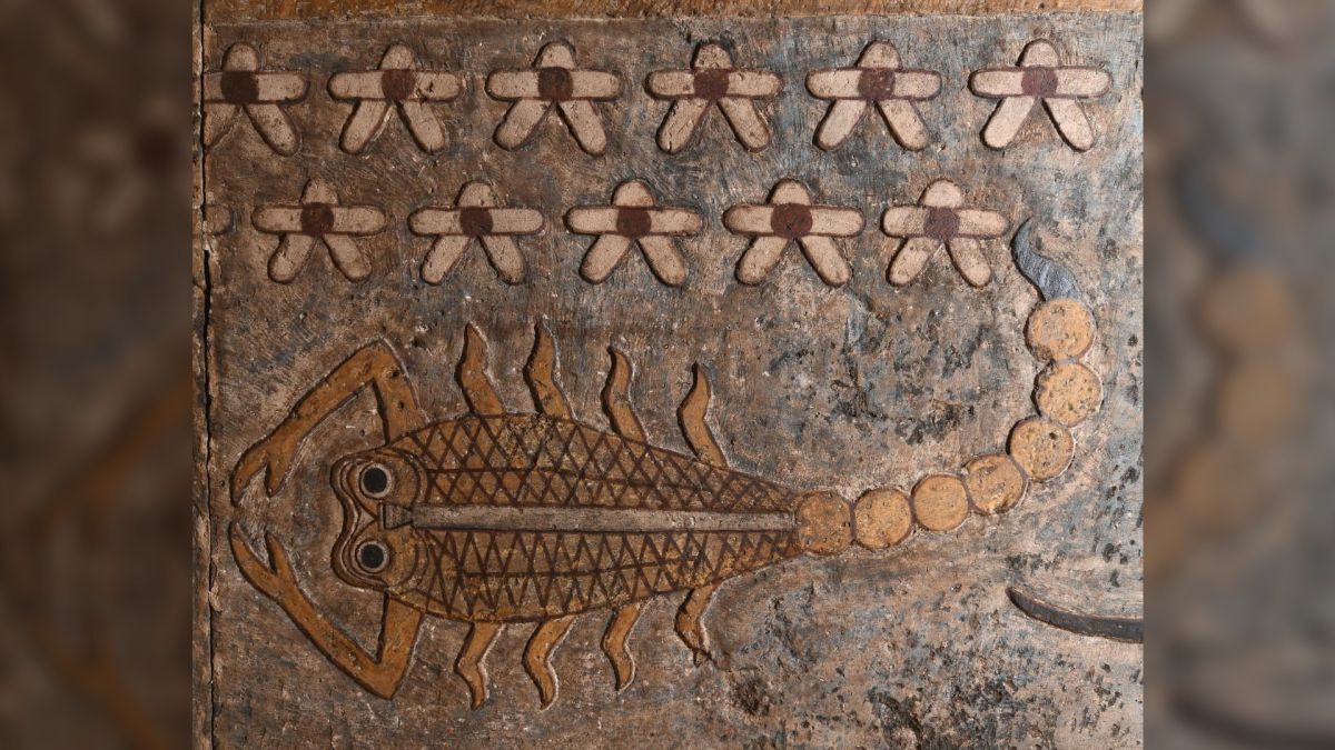  Ancient Egyptian Zodiac Paintings Discovered After 2,200 Years