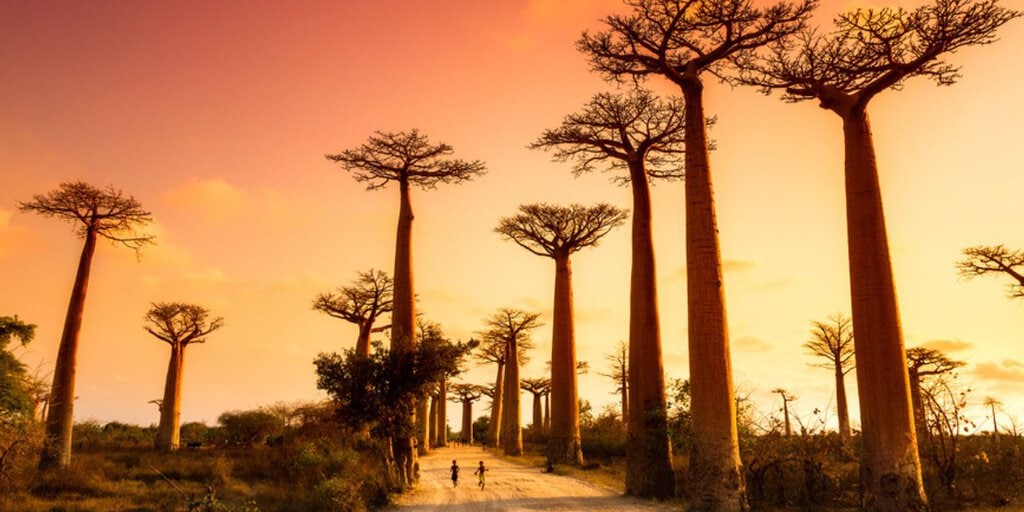 When Is the Best Time of Year to Visit Madagascar?